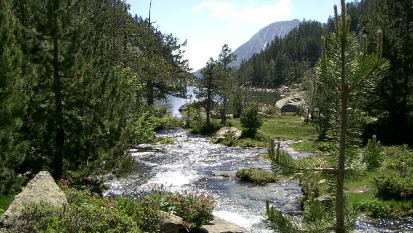 Visit the natural paradise of Taüll, in the Vall de Boí