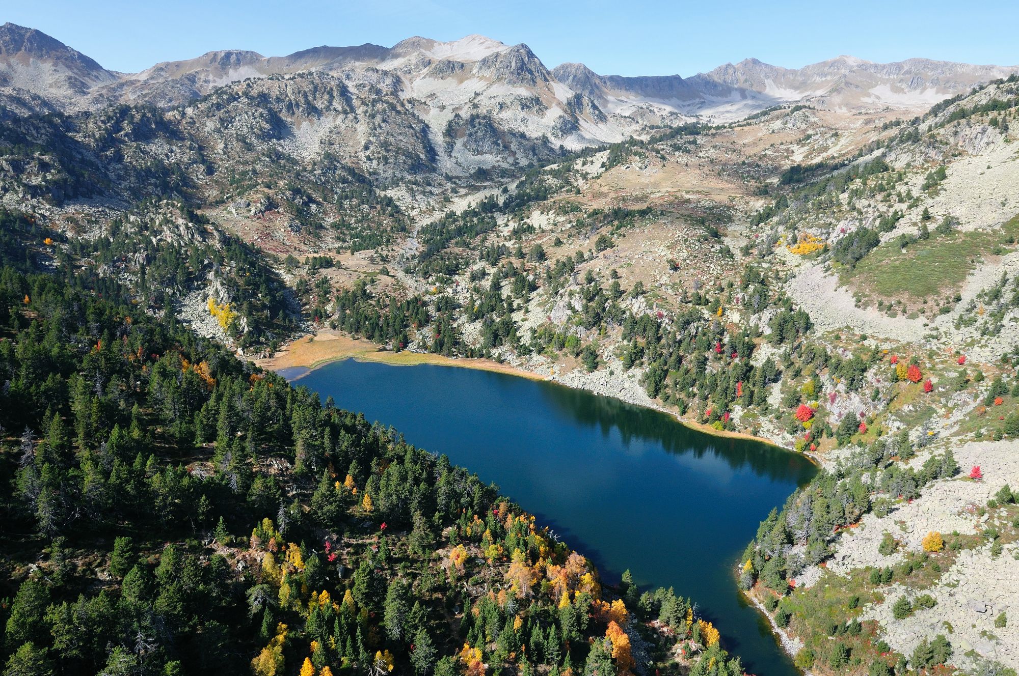 Alto Pirineo Richard Martin