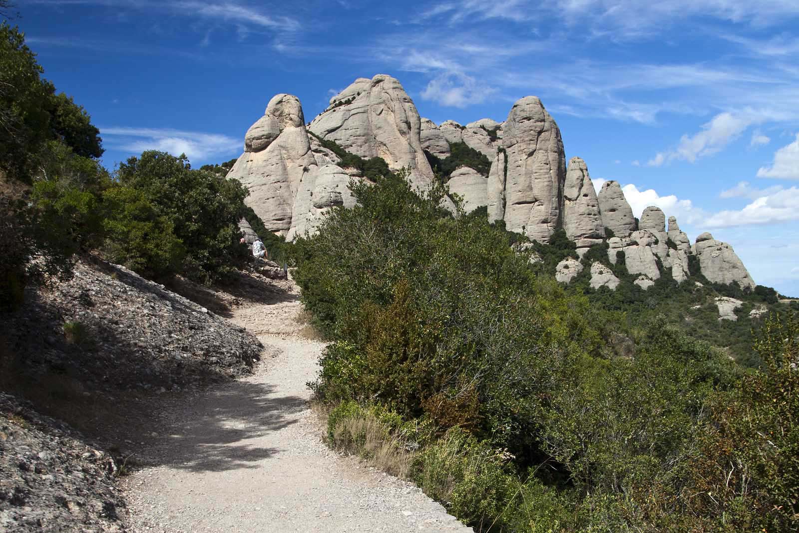 Pla de les Taràntules